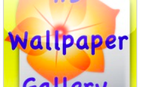 HD Wallpaper Gallery (flower)
