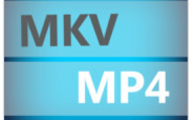 mkv2mp4
