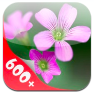 600+ Wallpaper gratis para iPhone y iPod Touch