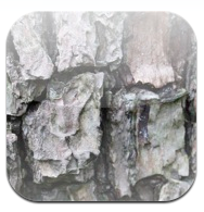 Brain Game 1, gratis para iPhone y iPod Touch en la App Store