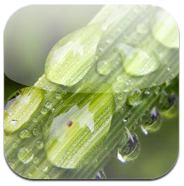 Feature Of Plants HD, wallpapers en HD gratis para el iPad