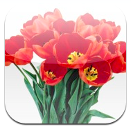 Smiling Tulip HD, gratis para iPad en la App Store