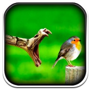 Rare Wallpapers Collection gratis por tiempo limitado para iPhone y iPod Touch