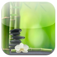Zen Meditation – Soothing Ambience and Binaural Tones, gratis por tiempo limitado