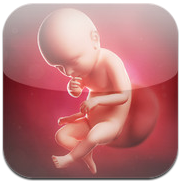 myBaby3d HD en descarga gratuita para iPad por tiempo limitado en la App Store