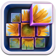 InstaMosaic - Photo Mosaic Generator