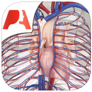 Pocket Anatomy: Circulatorio, en descarga gratuita para iPhone, iPod Touch y iPad